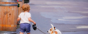 Image contains a photo of a small child walking a small dog as part of the fun ways to develop healthy habits in children.