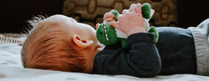 Image contains a photo of a young child sleeping while holding a plush green dinosaur in their hands.